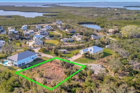 Terreno en venta en Terra Ceia, Florida № 1717054 - foto 1