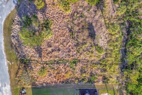 Terreno en venta en Terra Ceia, Florida № 1717054 - foto 11