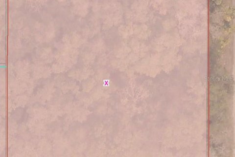 Land in Summerfield, Florida № 2161213 - photo 3