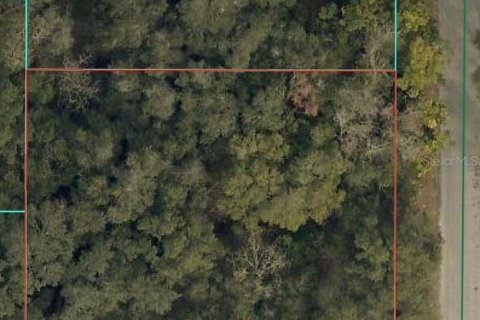 Land in Summerfield, Florida № 2161213 - photo 2