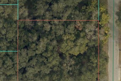 Land in Summerfield, Florida № 2161213