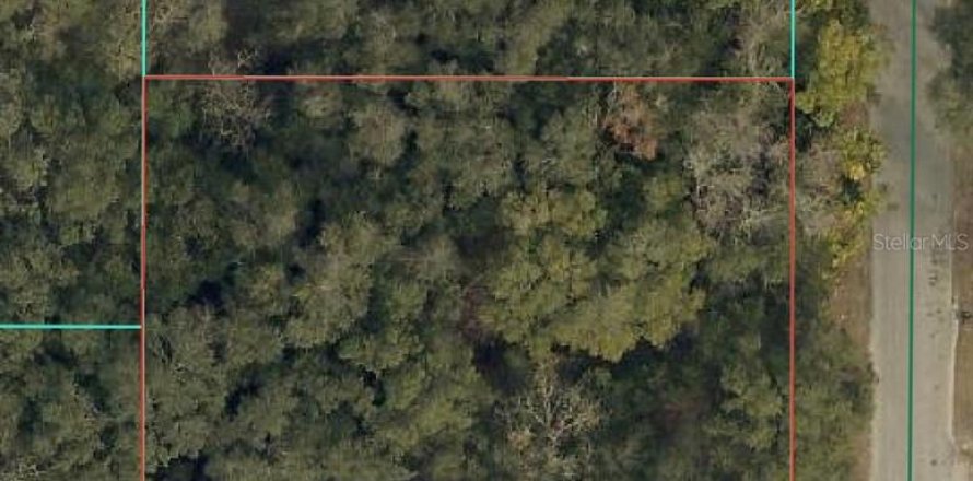 Land in Summerfield, Florida № 2161213