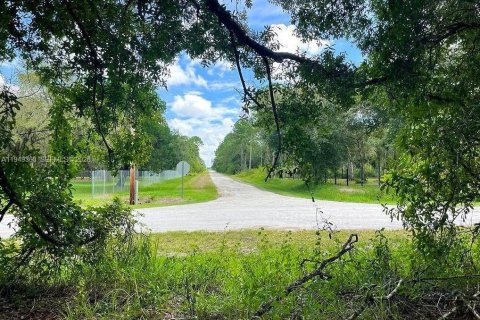 Land in Clewiston, Florida № 2004754