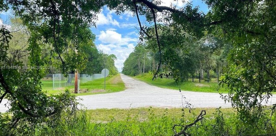 Land in Clewiston, Florida № 2004754