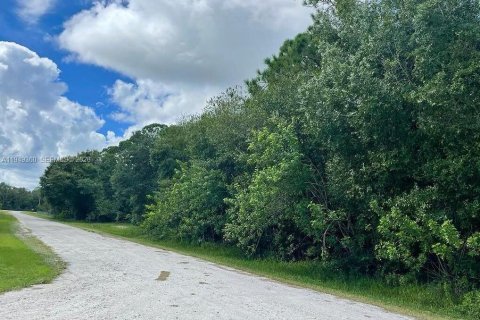 Land in Clewiston, Florida № 2004754 - photo 2