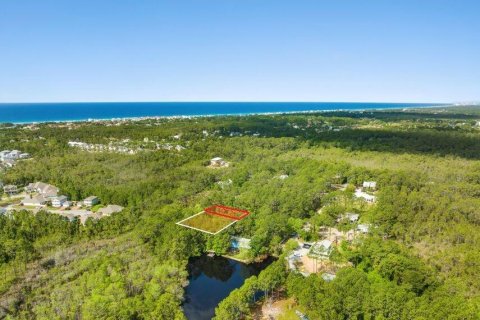 Land in Santa Rosa Beach, Florida № 559764 - photo 1
