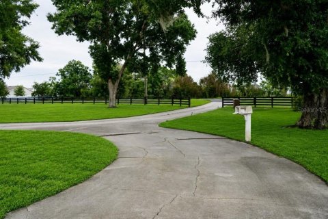 Villa ou maison à vendre à Grand Island, Floride: 8 chambres, 696.86 m2 № 2221714 - photo 7