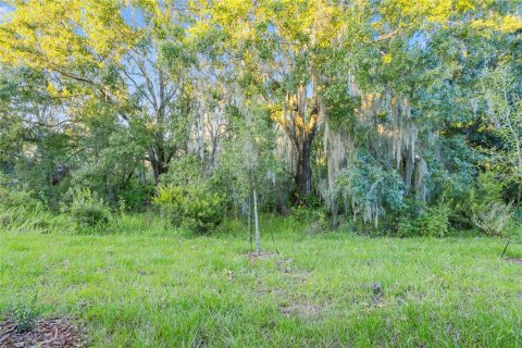 Adosado en alquiler en Wesley Chapel, Florida, 3 dormitorios, 155.43 m2 № 2104414 - foto 22