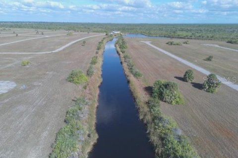 Land in Placida, Florida № 2165397 - photo 4