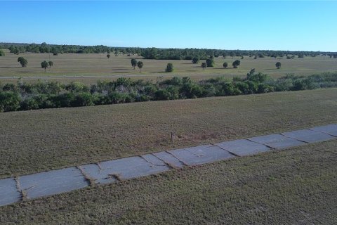Land in Placida, Florida № 2165397 - photo 7