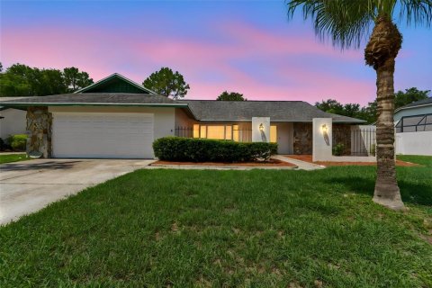 House in Tampa, Florida 3 bedrooms, 208.1 sq.m. № 2235994