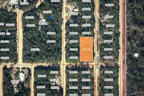 Land in Interlachen, Florida № 2228761 - photo 2