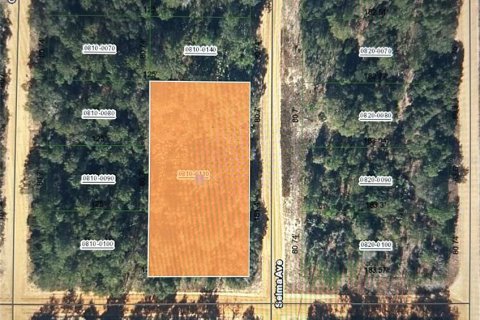 Land in Interlachen, Florida № 2228761