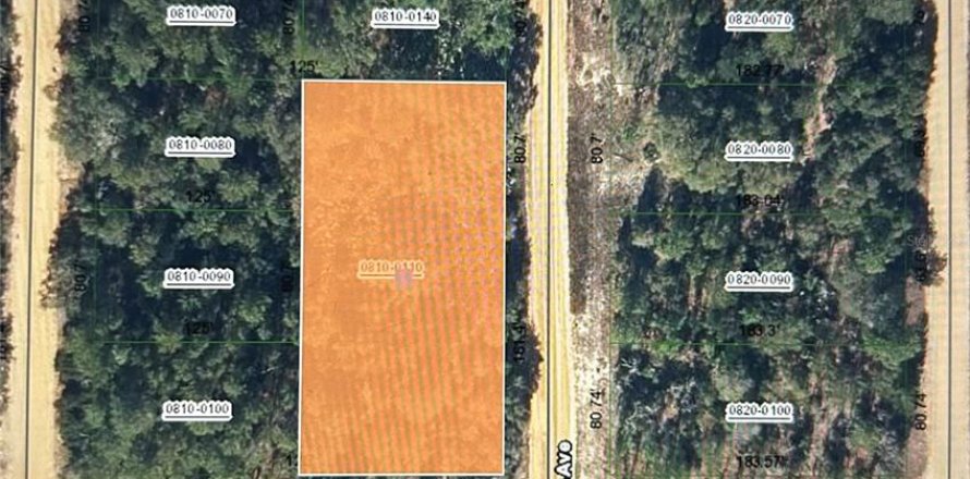Land in Interlachen, Florida № 2228761
