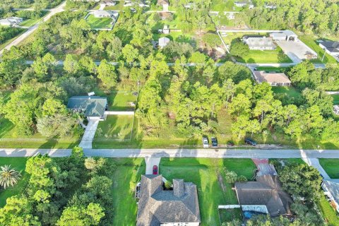 Land in Lehigh Acres, Florida № 2164350 - photo 12