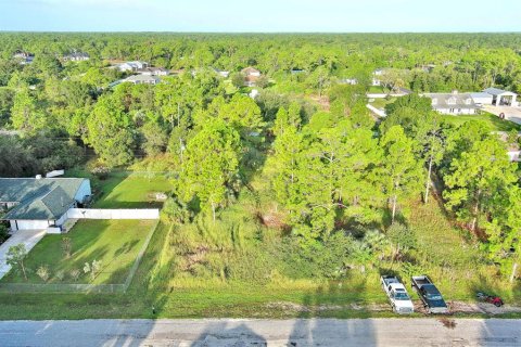 Land in Lehigh Acres, Florida № 2164350 - photo 7