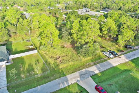 Land in Lehigh Acres, Florida № 2164350 - photo 5