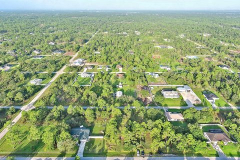Land in Lehigh Acres, Florida № 2164350 - photo 16