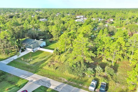 Land in Lehigh Acres, Florida № 2164350 - photo 8