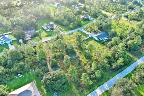 Land in Lehigh Acres, Florida № 2164350 - photo 22