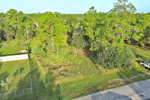 Land in Lehigh Acres, Florida № 2164350 - photo 2