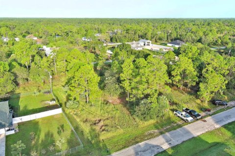 Land in Lehigh Acres, Florida № 2164350 - photo 4
