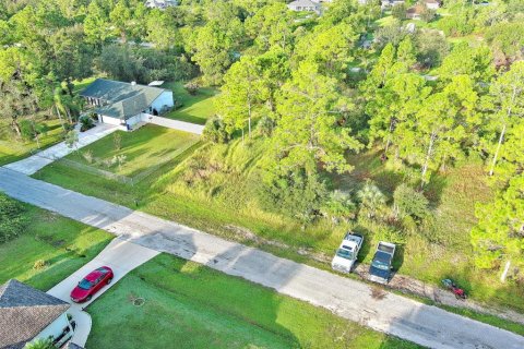 Land in Lehigh Acres, Florida № 2164350 - photo 9