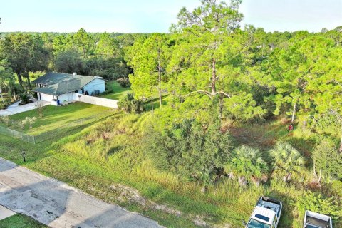Land in Lehigh Acres, Florida № 2164350 - photo 3