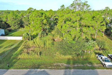 Land in Lehigh Acres, Florida № 2164350