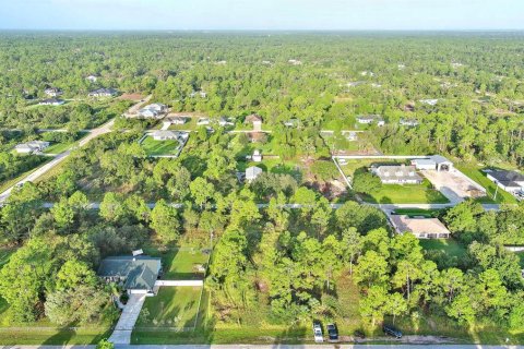 Land in Lehigh Acres, Florida № 2164350 - photo 13