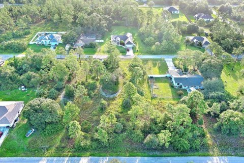 Land in Lehigh Acres, Florida № 2164350 - photo 23
