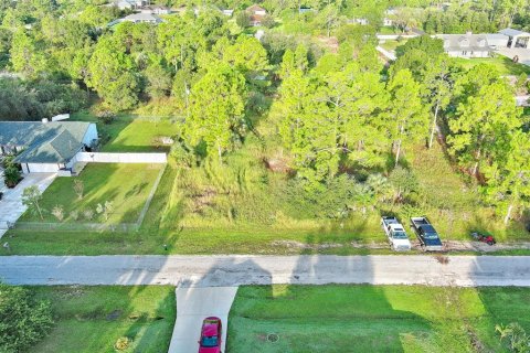 Land in Lehigh Acres, Florida № 2164350 - photo 6
