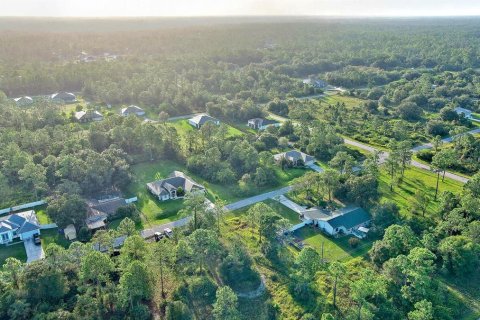 Land in Lehigh Acres, Florida № 2164350 - photo 21