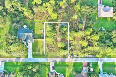Land in Lehigh Acres, Florida № 2164350 - photo 20