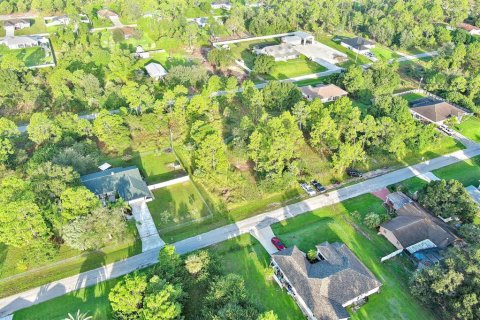 Land in Lehigh Acres, Florida № 2164350 - photo 15