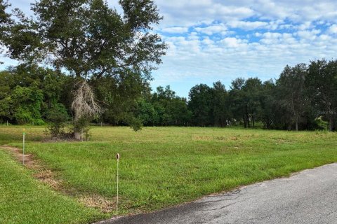 Terreno en venta en Groveland, Florida № 1917390 - foto 8