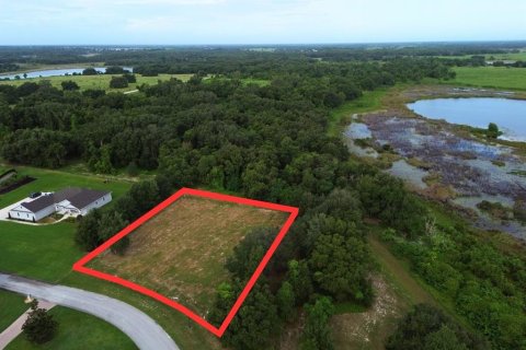 Terreno en venta en Groveland, Florida № 1917390 - foto 6