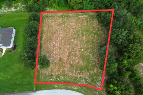 Terreno en venta en Groveland, Florida № 1917390 - foto 4