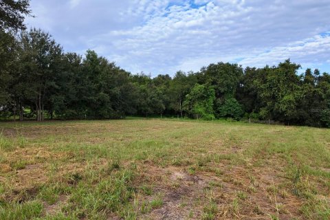 Terreno en venta en Groveland, Florida № 1917390 - foto 10