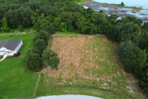 Terreno en venta en Groveland, Florida № 1917390 - foto 5