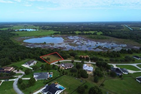 Terreno en venta en Groveland, Florida № 1917390 - foto 2