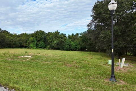 Terreno en venta en Groveland, Florida № 1917390 - foto 9