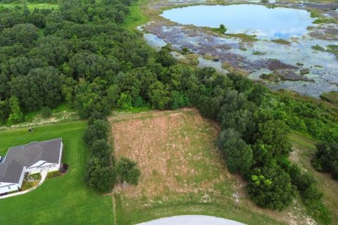 Terreno en venta en Groveland, Florida № 1917390 - foto 7