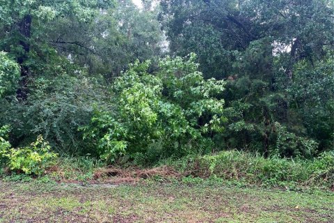 Land in Brooksville, Florida № 2162948 - photo 2