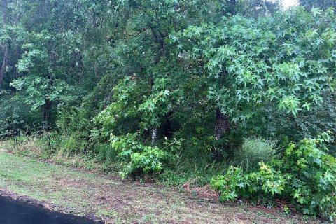 Land in Brooksville, Florida № 2162948 - photo 3