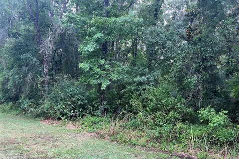 Land in Brooksville, Florida № 2162948