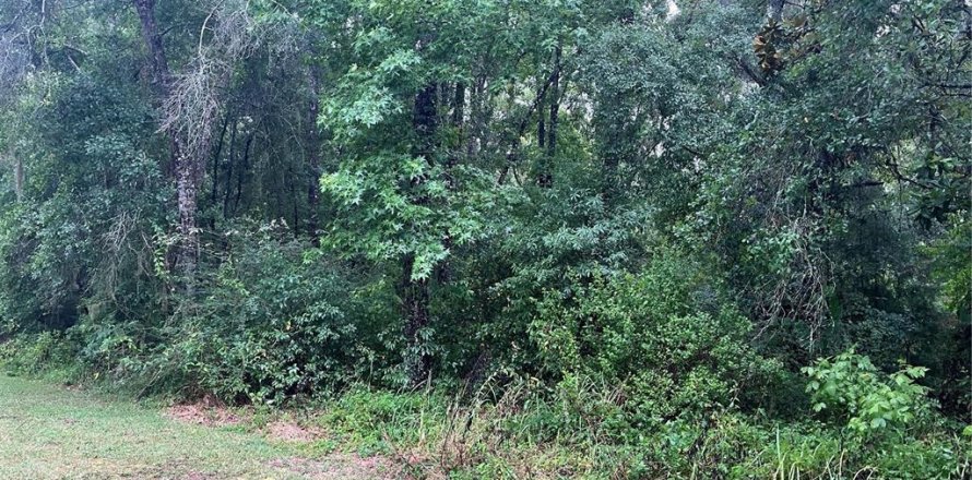 Land in Brooksville, Florida № 2162948