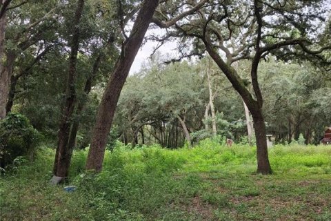 Land in Dunnellon, Florida № 2273126 - photo 4