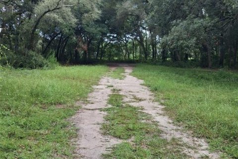 Terrain à Dunnellon, Floride № 2273126