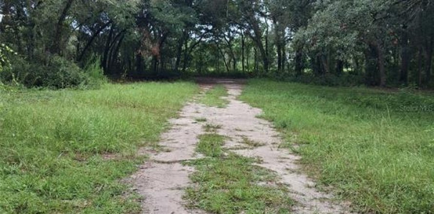 Land in Dunnellon, Florida № 2273126